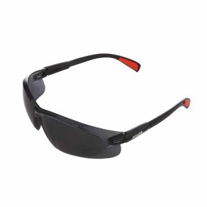 safety glasses Arva 8113